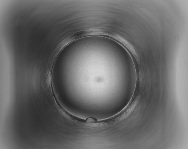 X0000102301289200807251427