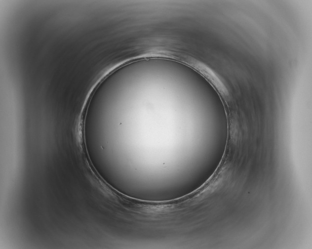 X0000102301292200807251427