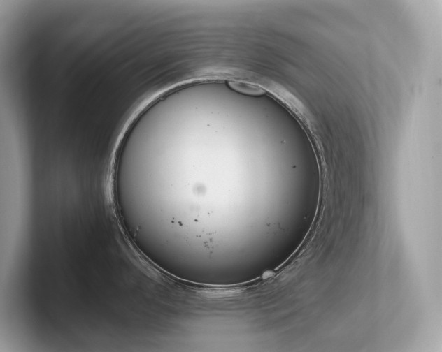 X0000102301296200807251427