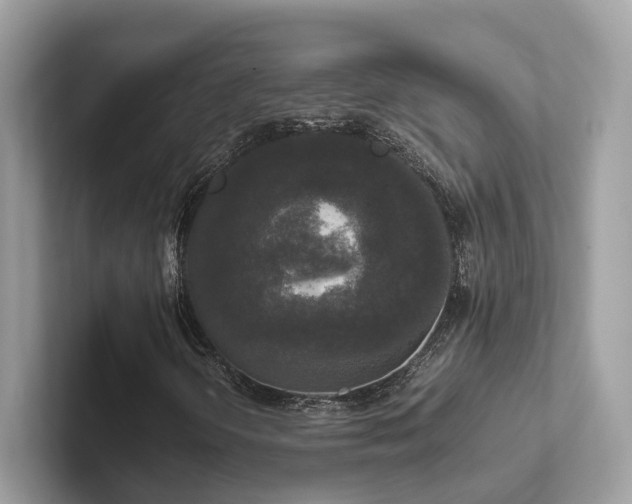 X0000102301298200807251427