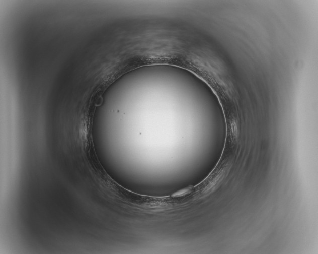 X0000102301300200807251427