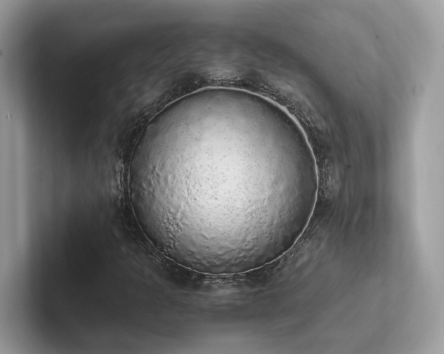 X0000102301301200807251427