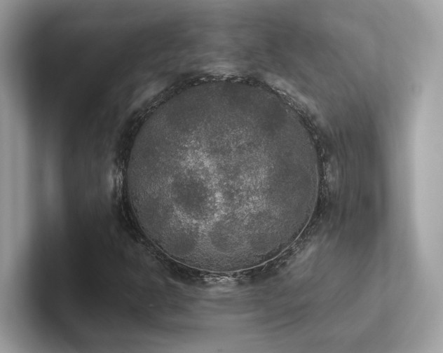 X0000102301302200807251427