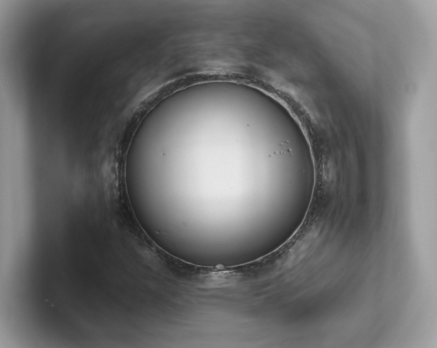 X0000102301304200807251427