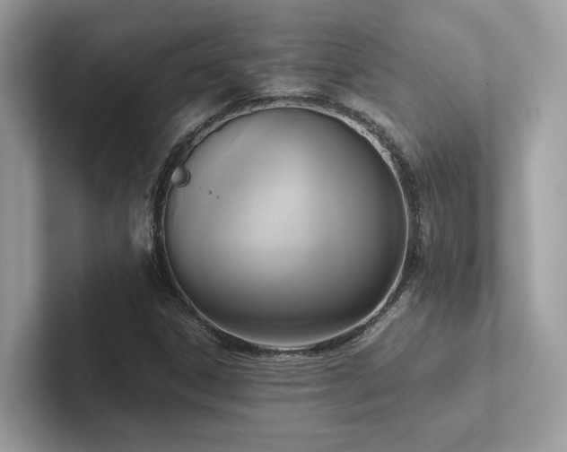 X0000102301306200807251427