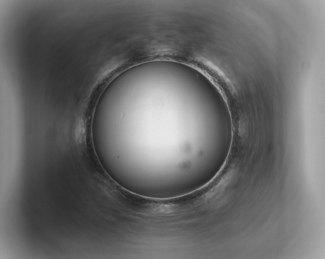 X0000102301309200807251427