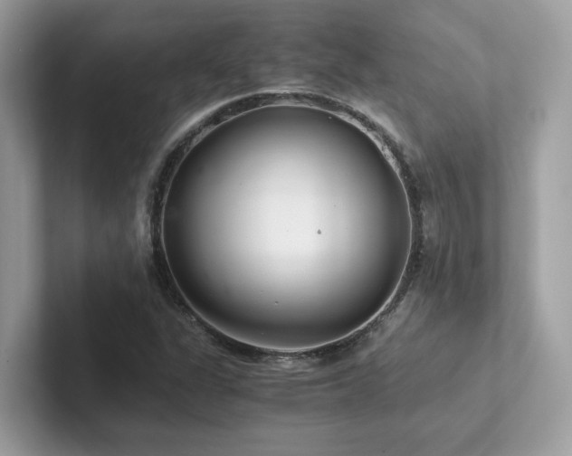 X0000102301311200807251427