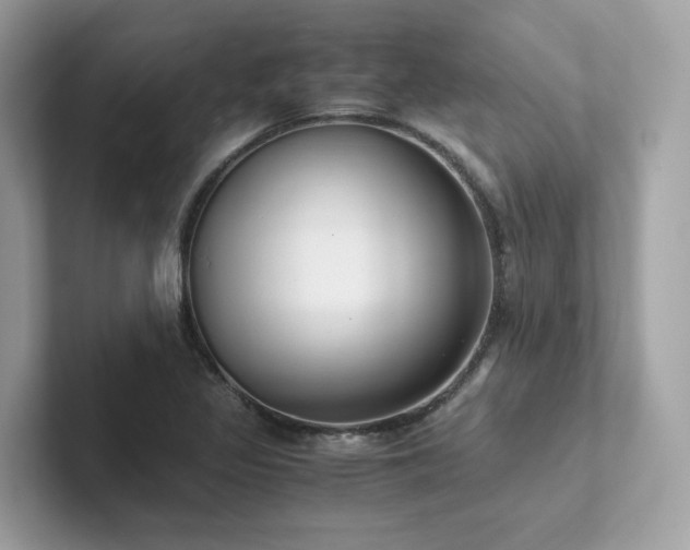 X0000102301317200807251427