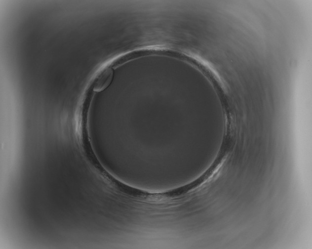X0000102301319200807251427