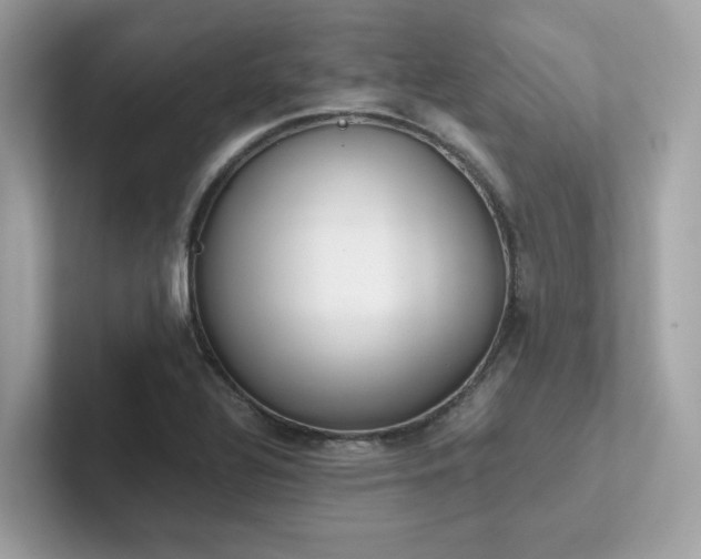 X0000102301320200807251427