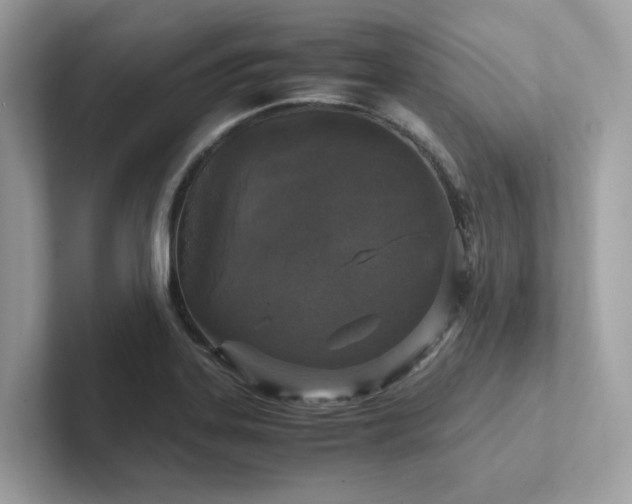 X0000102301323200807251427