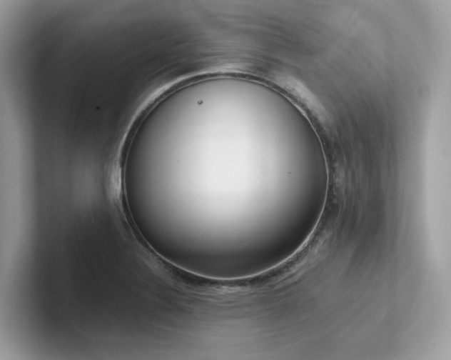 X0000102301324200807251427