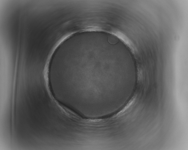 X0000102301325200807251427