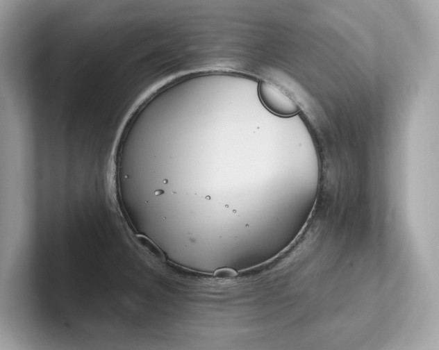 X0000102301332200807251427