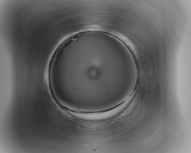 X0000102301334200807251427