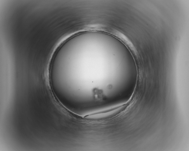 X0000102301336200807251427