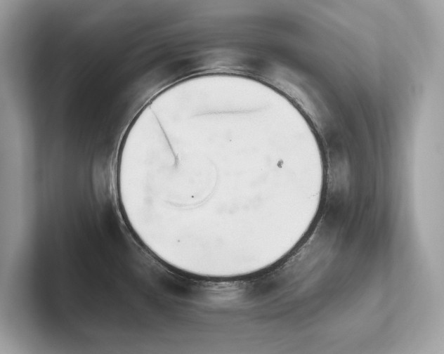 X0000102301338200807251427