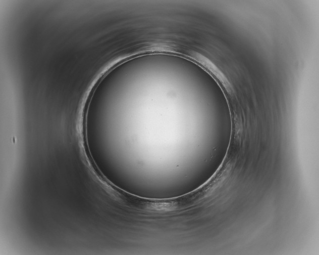 X0000102301339200807251427