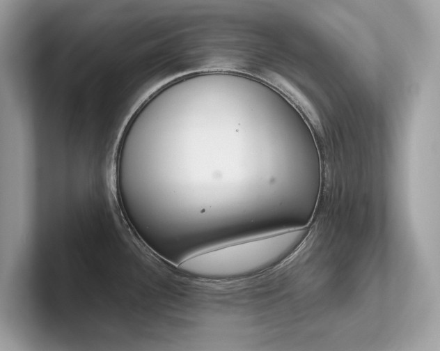 X0000102301340200807251427