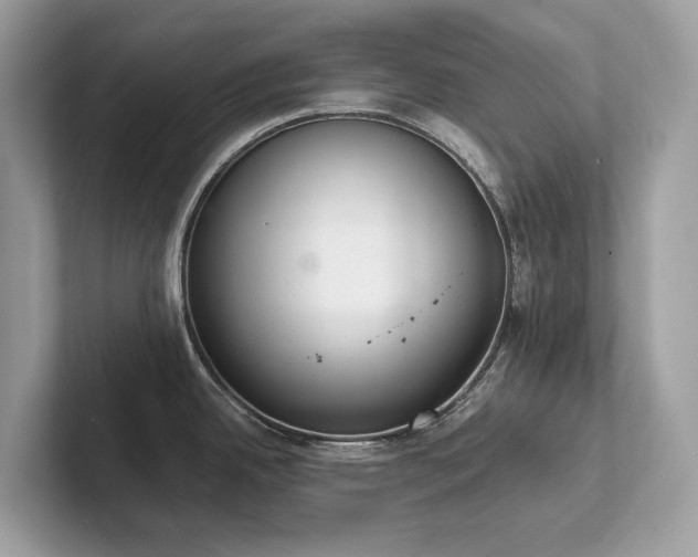 X0000102301342200807251427
