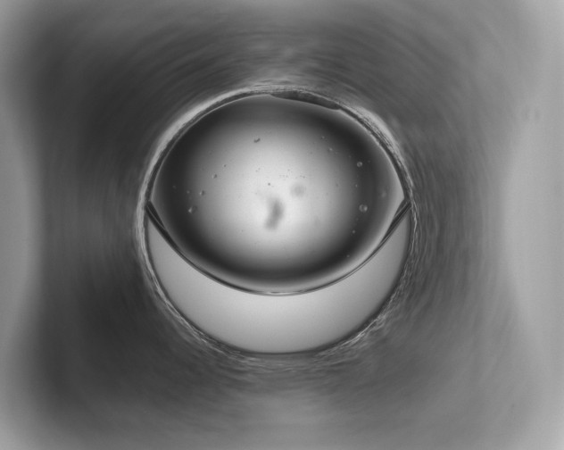X0000102301344200807251427