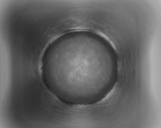 X0000102301357200807251427