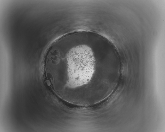 X0000102301359200807251427