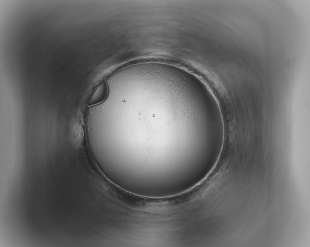 X0000102301363200807251426
