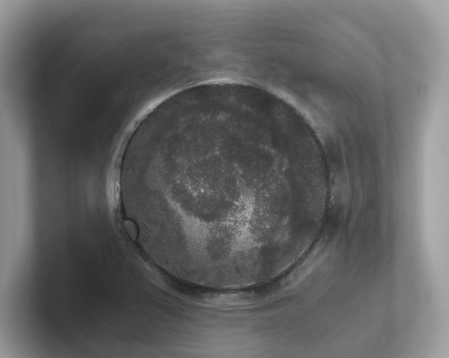 X0000102301367200807251426