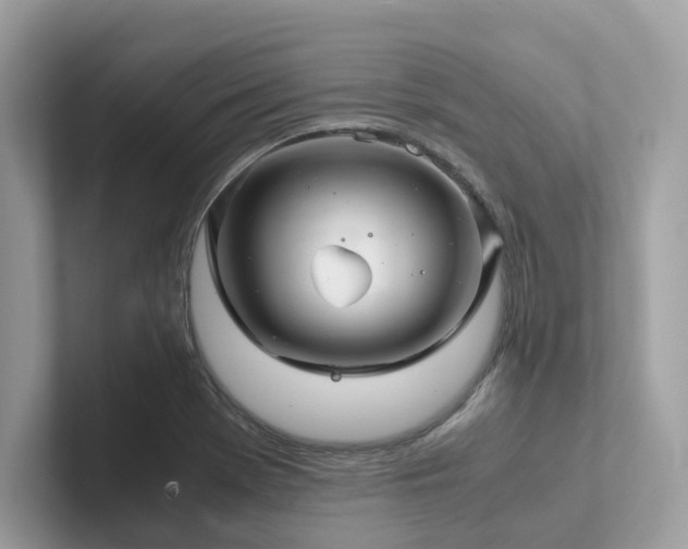 X0000102301369200807251426