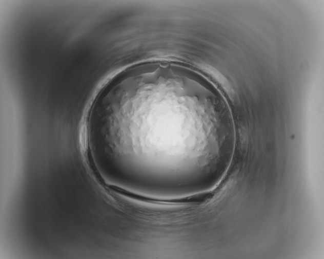 X0000102301371200807251426