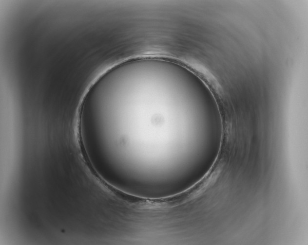 X0000102301374200807251426