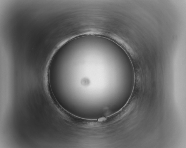 X0000102301375200807251426