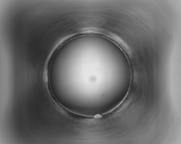 X0000102301376200807251426
