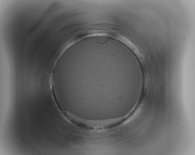 X0000102301377200807251426