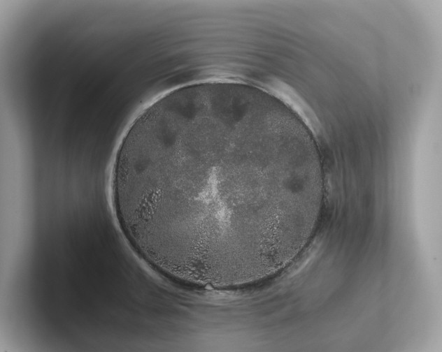 X0000102301379200807251426