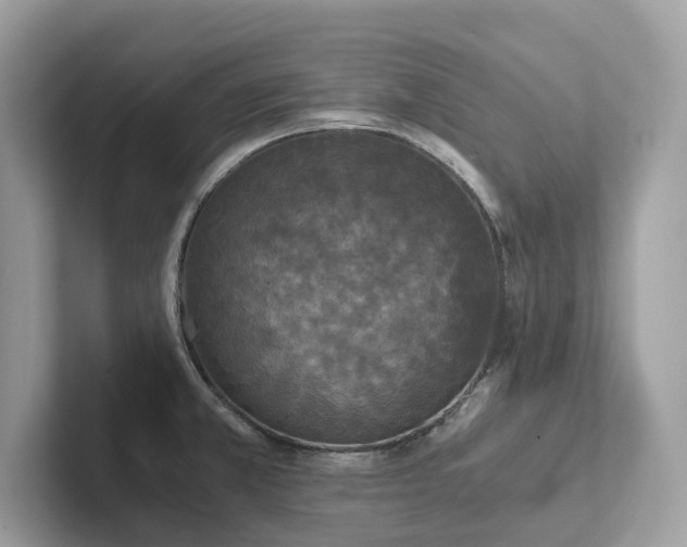X0000102301381200807251426
