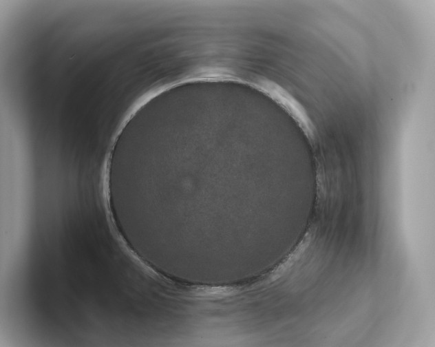 X0000102301382200807251426