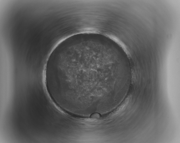 X0000102301383200807251426
