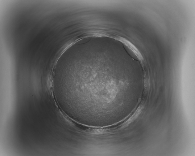 X0000102301385200807251426