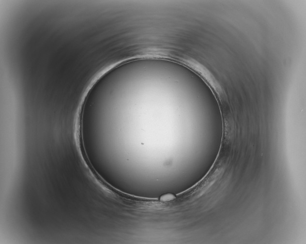 X0000102301387200807251426