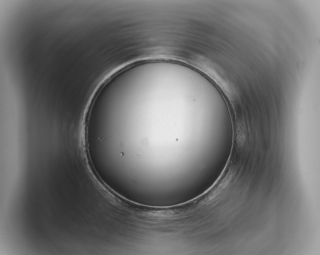 X0000102301388200807251426