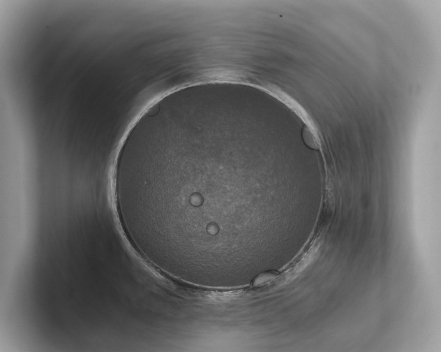 X0000102301389200807251426