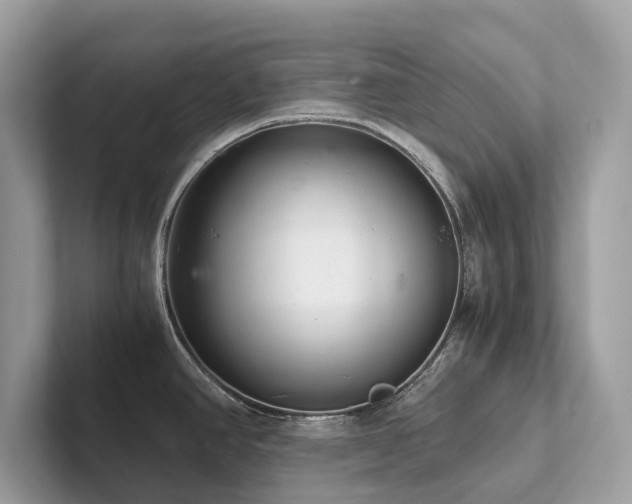 X0000102301390200807251426