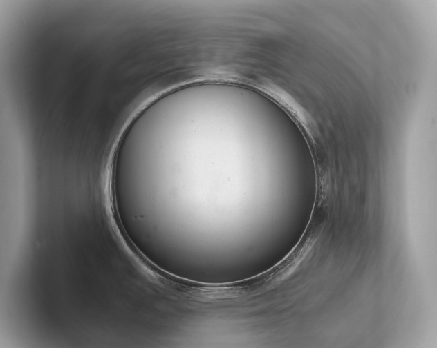 X0000102301391200807251426