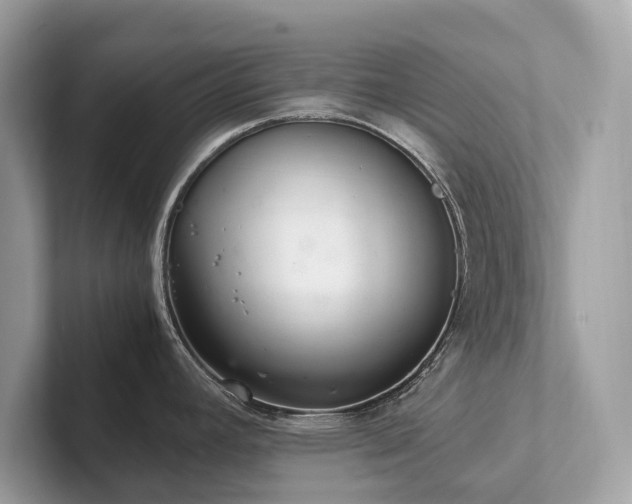X0000102301392200807251426