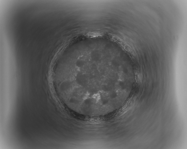 X0000102301393200807251425