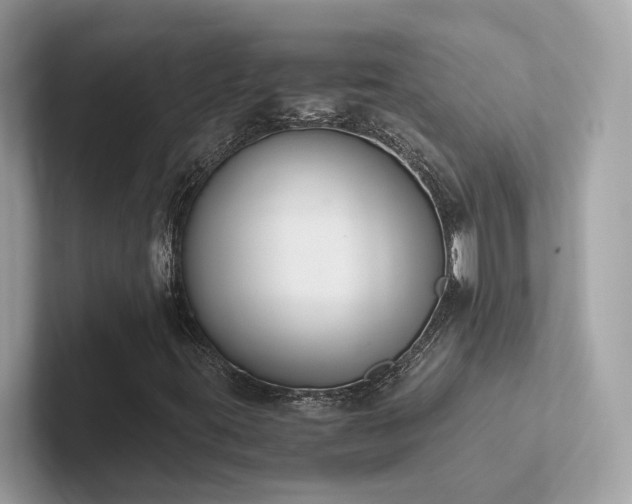 X0000102301395200807251426