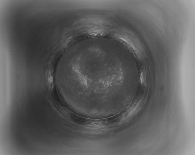 X0000102301396200807251426