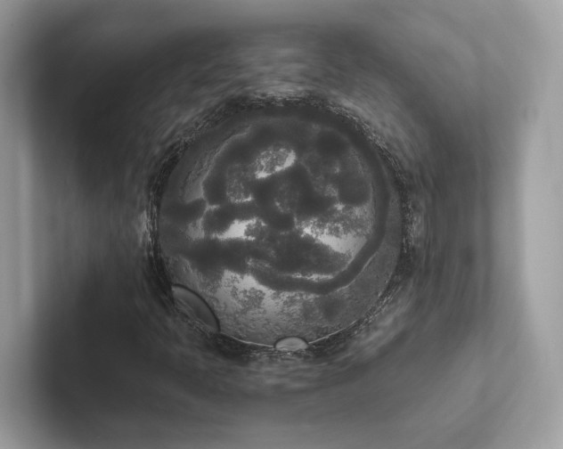 X0000102301397200807251426